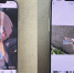 Фото: "ГСУ СК России по Красноярскому краю и Республике Хакасия" - НИА