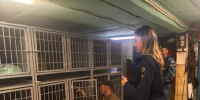 Судебные приставы проконтролировали приведение в порядок частного приюта для животных в Норильске - УФССП России