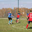 Футбольное поле в Шалинском - KraySport.Ru