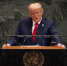 Несмотря на призыв Трампа, десятки палестинцев погибли в Газе - KrasnoyarskMedia