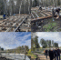 Фото: тг-канал "Главное управление образования | Красноярск" - НИА