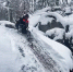 поиск пропавших в лесу - ДЕЛА.ru