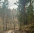 img - ЛДПР