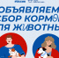 «Защита животного мира» приглашает принять участие в акции по сбору кормов для животных, оставшихся без владельцев - Единая Россия