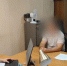 На экс-главу Уярского района завели уголовное дело - KrasnoyarskMedia