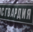 В Иланске сотрудники Росгвардии задержали подозреваемого в незаконном проникновении в магазин - УВО ВНГ России по Красноярскому краю
