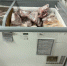 В Красноярске торговая сеть оштрафована за продажу просроченных продуктов - 1-LINE