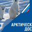 Фото: Скрин-шот с документа - НИА