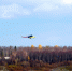 Прогноз погоды в Красноярске на 1 ноября - 1-LINE