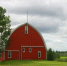 Штрафы за борщевик и другие сорняки - что меняется для россиян в 2026 году - KrasnoyarskMedia
