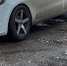 img - ЛДПР