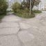 img - ЛДПР