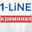 В Иркутской области 6 лет колонии получил подросток за убийство с особой жестокостью малолетней девочки - 1-LINE