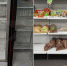 В магазине только рожки да ножки: жители поселка на севере края жалуются на катастрофический дефицит продуктов - ИА Запад24