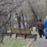 В Красноярске на улице Копылова появятся два сквера - Комсомольская Правда