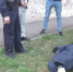 Двум красноярцам за избитую и выброшенную в окно девушку утверждено обвинение - ИА Запад24