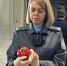 В Красноярск привезли более 8 тонн зараженных кабачков и перцев - Наш Красноярский край