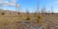 Фото: Управление Россельхознадзора по Красноярскому краю - НИА