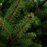Лошадь на празднике: какие блюда принесут удачу и радость в 2026 году - KrasnoyarskMedia
