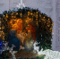 Митрополит Никита совершил всенощное бдение в канун Рождества Христова - Епархия