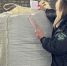 Из Красноярска экспортировали 15 тонн жмыха и партию пантов северного оленя - Комсомольская Правда