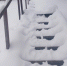 img - ЛДПР