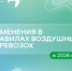 В этом году изменятся правила воздушных перевозок - ИА Запад24