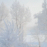 moroz 40gradysov - НИА