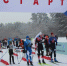 Красноярцы завоевали медали чемпионата СФО по спортивному ориентированию - KraySport.Ru