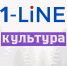 Алтайская команда КВН вышла в Первую лигу - 1-LINE