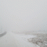 фото с ТГ-канала t.me/rosseti_sibir - НИА