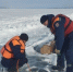 Спасатели обнаружили на дне Красноярского моря провалившую машину и тело водителя в салоне - Газета Красноярский рабочий