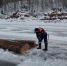Спасатели пока не могут поднять со дна тело водителя провалившегося под лёд автомобиля - Газета Красноярский рабочий