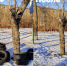 Фото: Ленинский район|Красноярск - НИА