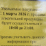 Новые ограничения по продаже алкоголя вступают в силу с 1 марта в Красноярском крае  - Наш Красноярский край