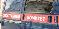 В Красноярске возбуждено уголовное дело по факту нападения бродячей собаки на малолетнего - Следственный комитет