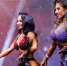 Объявлена аккредитация СМИ на Siberian Power Show-2026 в Красноярске - KraySport.Ru