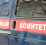 В Республике Хакасия возбуждено уголовное дело по факту нападения собаки на несовершеннолетнюю девочку - Следственный комитет