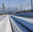 В Алтайском крае поезд наехал на лежащего на путях мужчину - 1-LINE