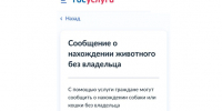 На Госуслугах жители Красноярского края могут сообщить о безнадзорном животном - 1-LINE