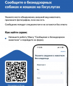 Жители Красноярского края смогут сообщить о беспризорных животных через новый сервис