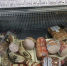 В Новосибирской области контролируют поставки продуктов в пострадавшие районы - 1-LINE