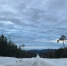 img - ЛДПР