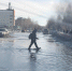 img - ЛДПР