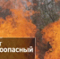 скриншот видео из канала в МАХ "Министерство природных ресурсов и лесного комплекса Красноярского края" - НИА