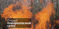 скриншот видео из канала в МАХ "Министерство природных ресурсов и лесного комплекса Красноярского края" - НИА