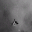 2026 03 30 12 14 48 - НИА