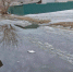 img - ЛДПР