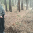 В Железногорске задержана приехавшая из Уфы женщина с крупной партией наркозелья - ИА Запад24
