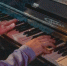 Американский клен объявили вне закона: чем опасно это дерево - KrasnoyarskMedia